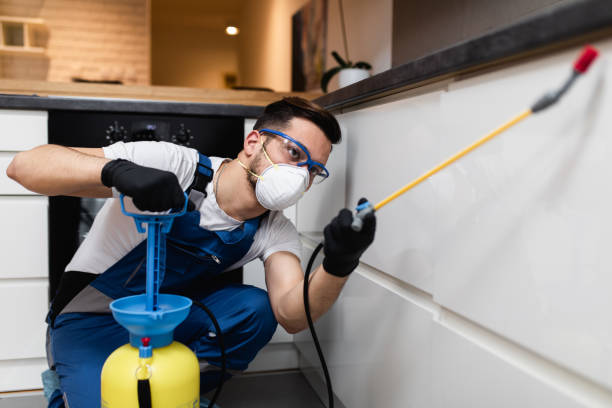 Best Local Pest Control Services  in Ben Wheeler, TX