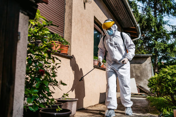 Best Pest Removal Services  in Ben Wheeler, TX