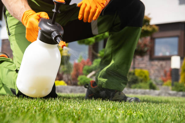 Best Wildlife Control Services  in Ben Wheeler, TX