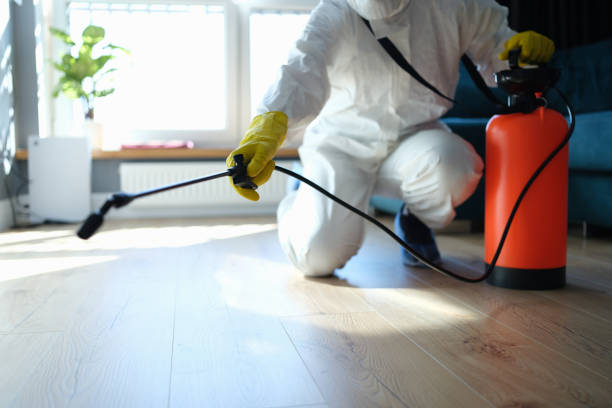 Best Mosquito Control Services  in Ben Wheeler, TX