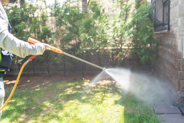 Best Residential Pest Control  in Ben Wheeler, TX