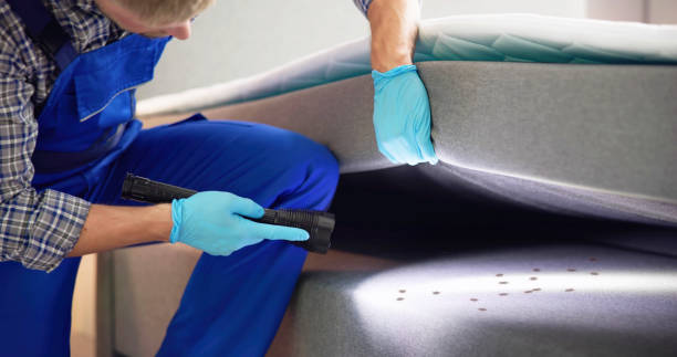 Best Bed Bug Extermination  in Ben Wheeler, TX