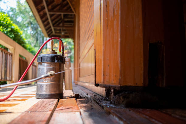 Best Best Pest Control Companies  in Ben Wheeler, TX