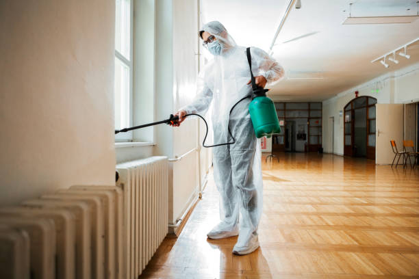 Best Affordable Pest Control Services  in Ben Wheeler, TX